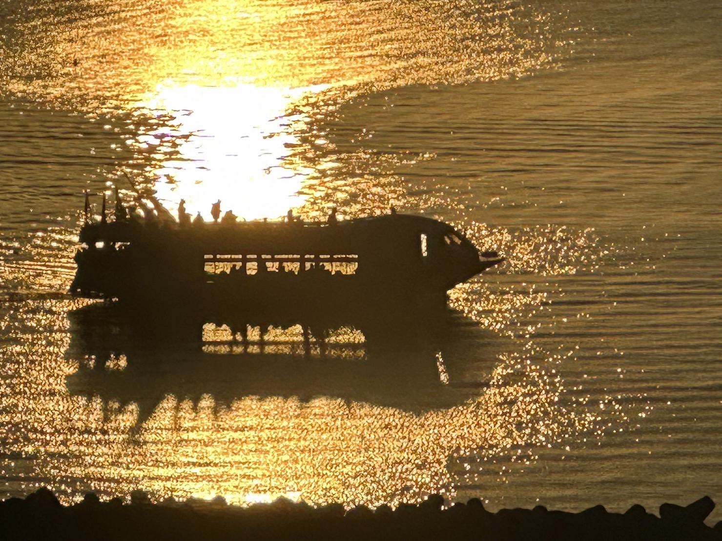 朝の三河湾